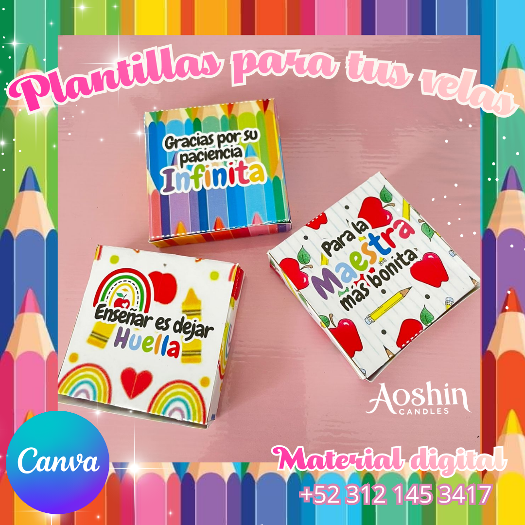 Cajas para margaritas Día del Maestro
