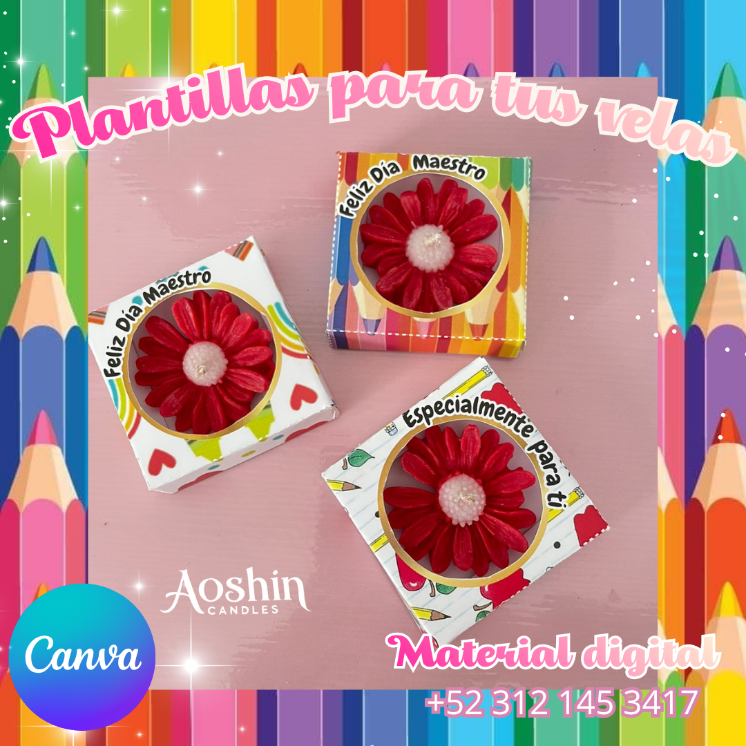 Cajas para margaritas Día del Maestro