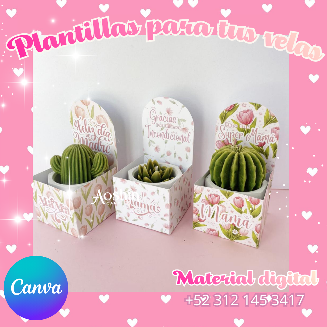 aaPortasuculentas Día de las madres