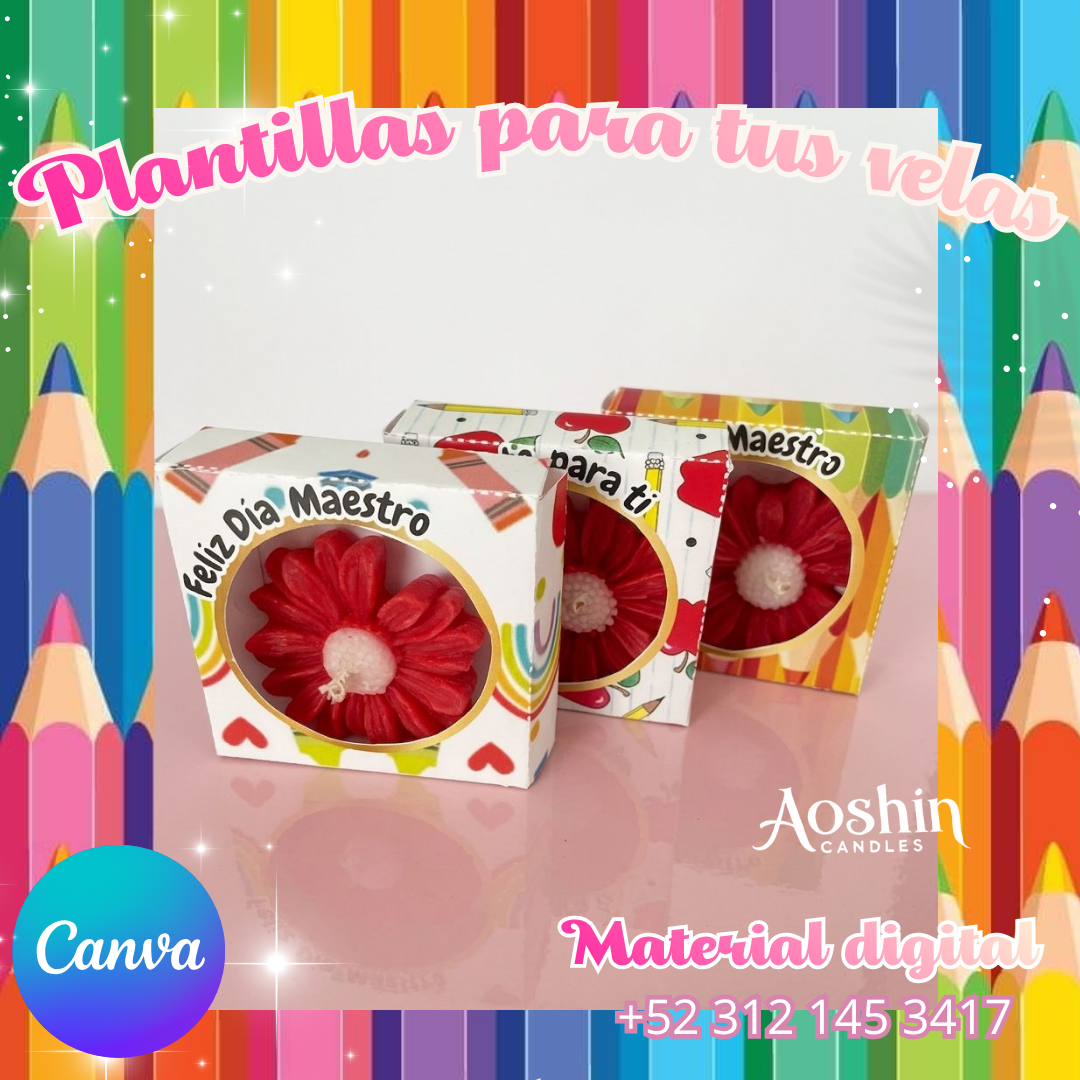 Cajas para margaritas Día del Maestro